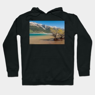 Lake Wakatipu Hoodie